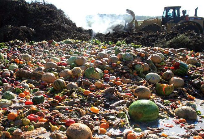 pasti solidali combattere sprechi alimentari