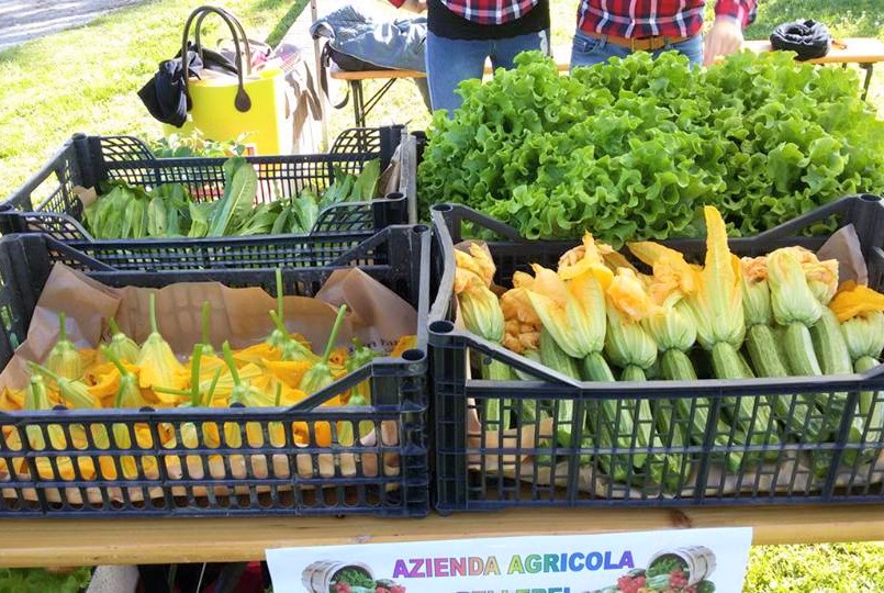 pellerei azienda agricola coltiva energia 1552904727