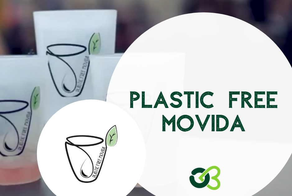 plastic free movida locali torino uniscono addio bicchieri plastica 1563787983