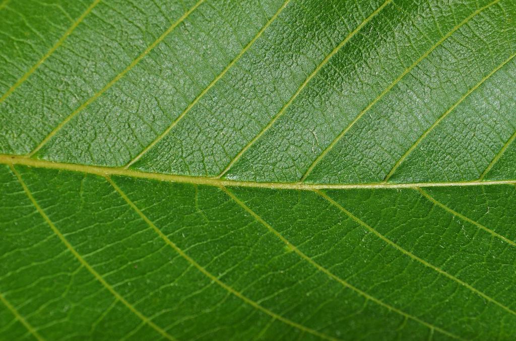 progetto cambiamenti attivita ludicodidattica sviluppo coscienza ambientale 1490348712