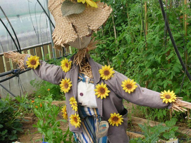 Slow Food: che la festa degli Orti cominci!