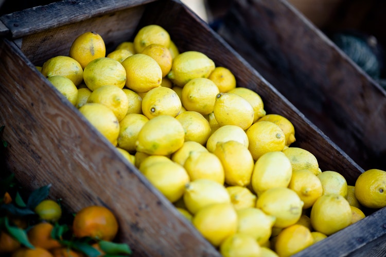 Tornano i ‘limoni per la ricerca’: un sostegno alla lotta contro i tumori