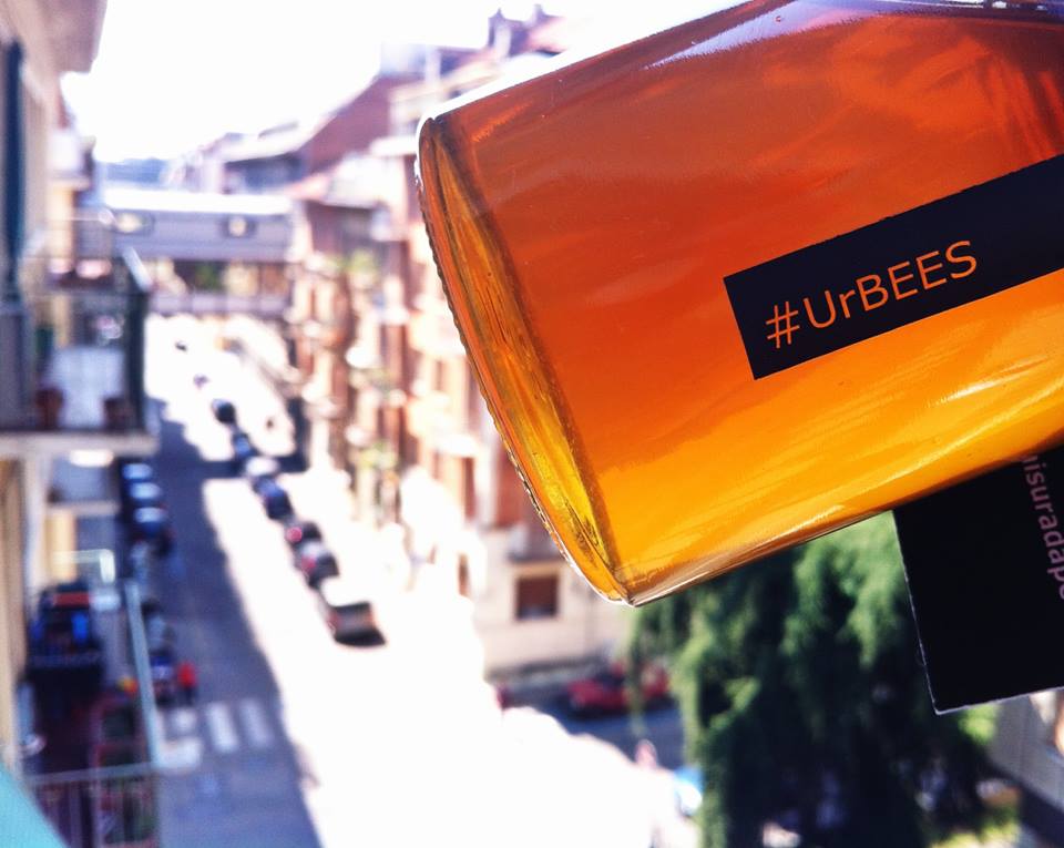 UrBees: il viaggio delle api dalla campagna alla città