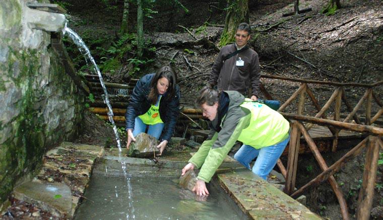 Volontariato nel Parco Nazionale delle Foreste Casentinesi